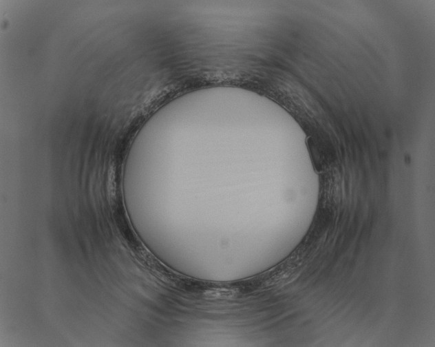 X0000087390700200705181307