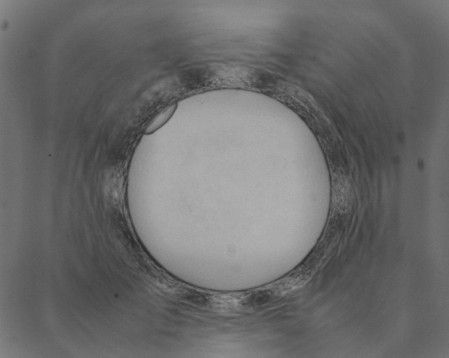 X0000087390701200705181307