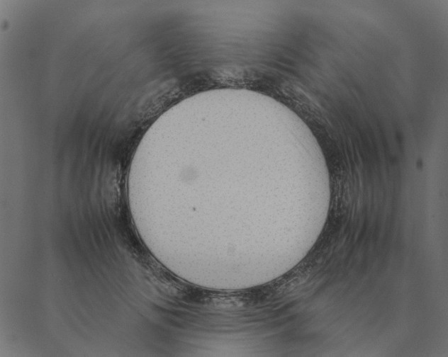 X0000087390702200705181307