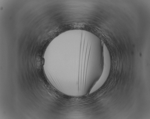 X0000087390704200705181307