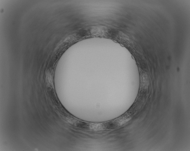 X0000087390705200705181307