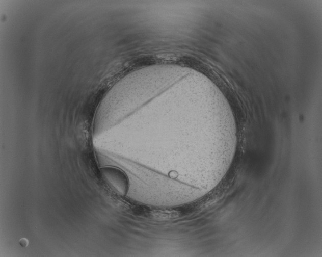 X0000087390707200705181307