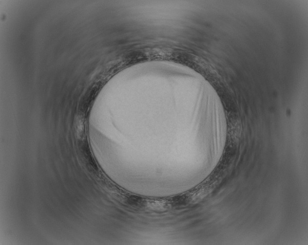 X0000087390709200705181307