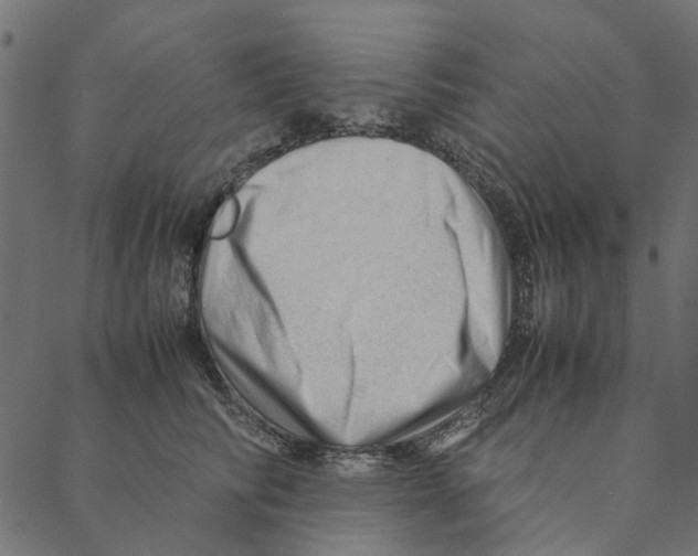 X0000087390710200705181307