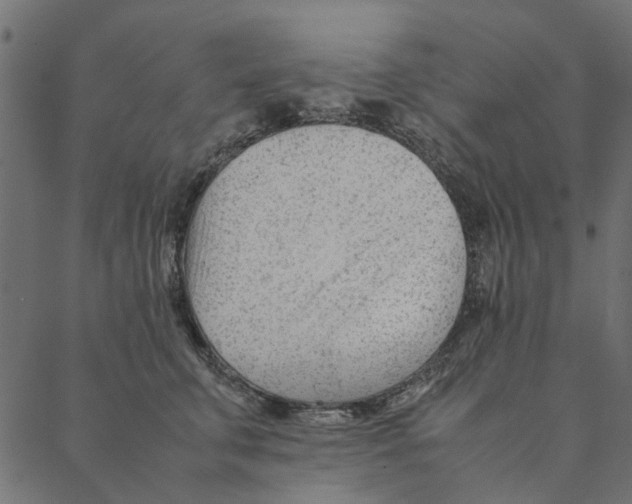 X0000087390711200705181307