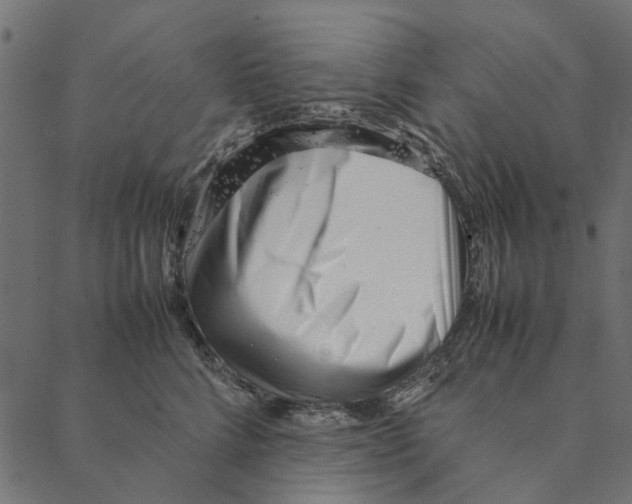 X0000087390712200705181307