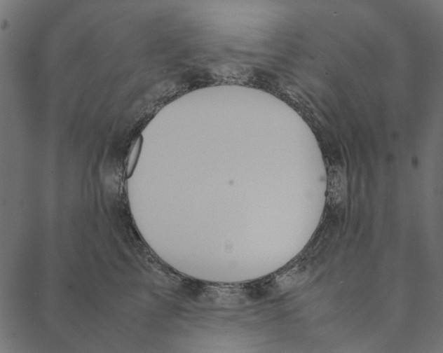 X0000087390713200705181307