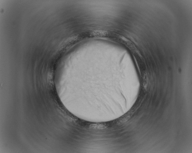 X0000087390714200705181307