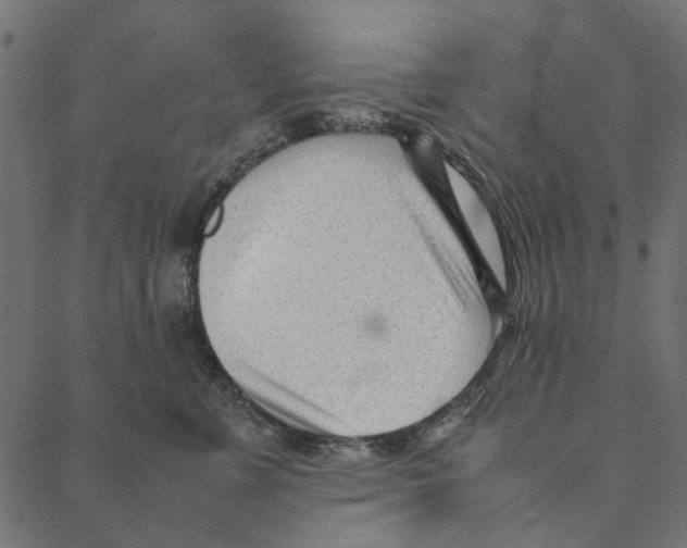 X0000087390715200705181307