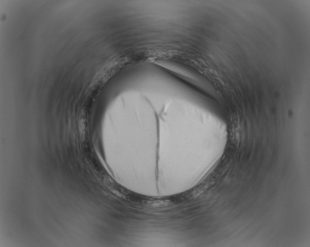 X0000087390716200705181307