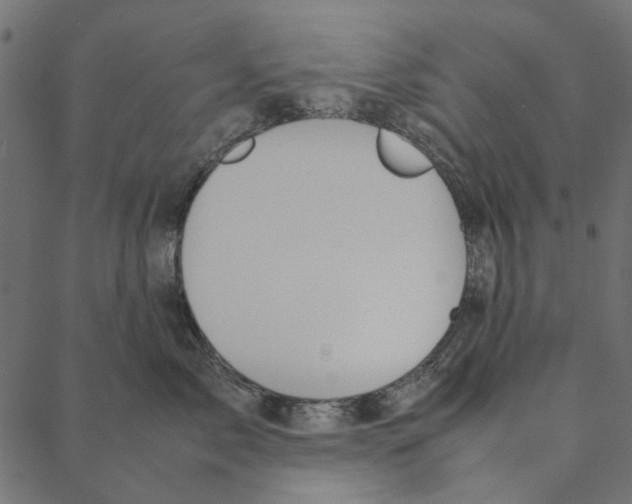 X0000087390717200705181307