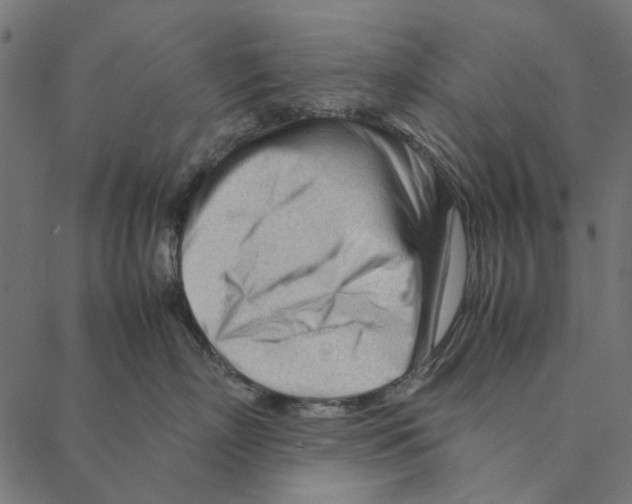 X0000087390718200705181307