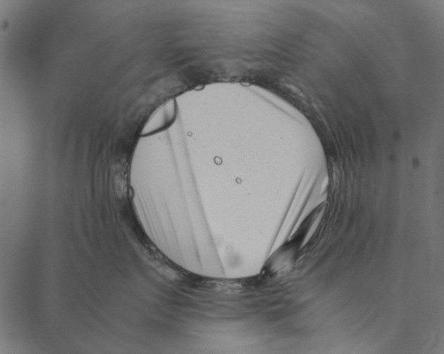 X0000087390719200705181307