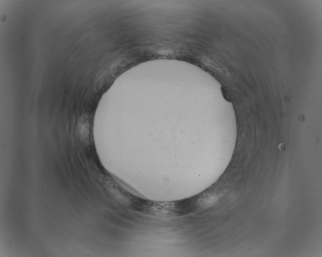 X0000087390720200705181307