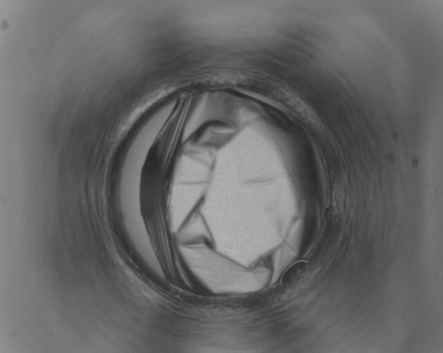 X0000087390722200705181306