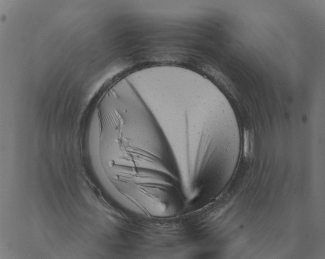 X0000087390723200705181306