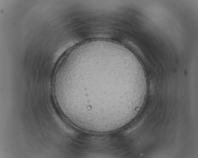 X0000087390725200705181306