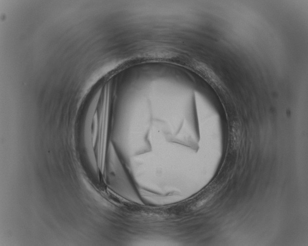 X0000087390726200705181306