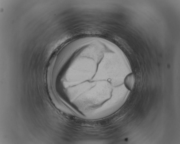 X0000087390727200705181306