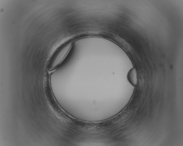 X0000087390728200705181306