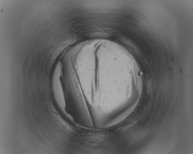 X0000087390729200705181306