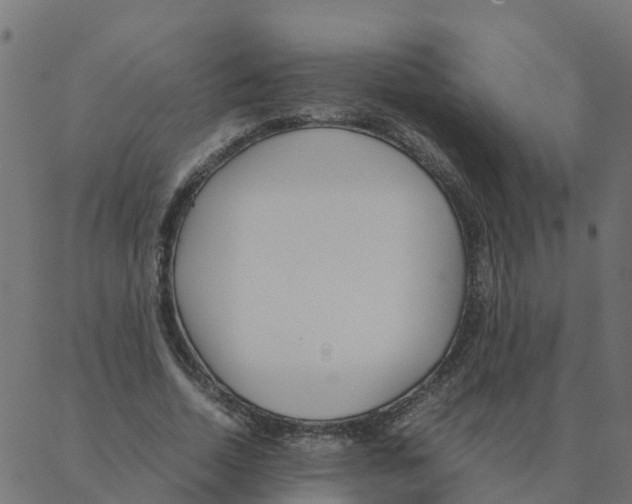 X0000087390730200705181306