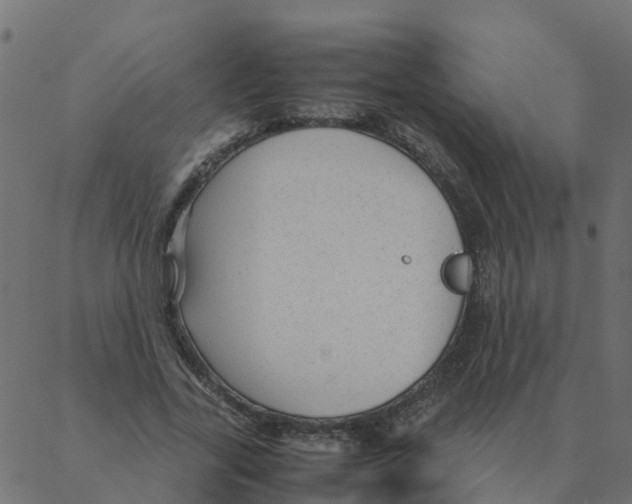 X0000087390731200705181306