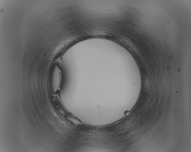 X0000087390732200705181306