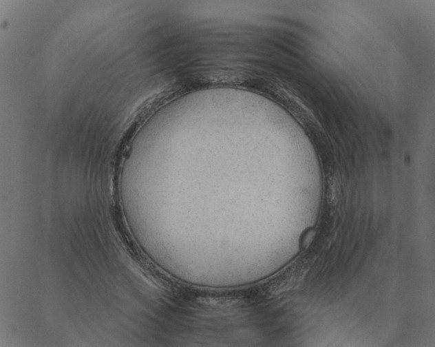 X0000087390733200705181306