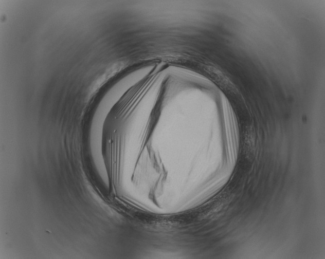 X0000087390734200705181306