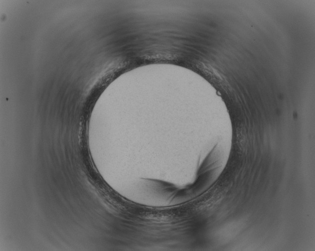 X0000087390735200705181307