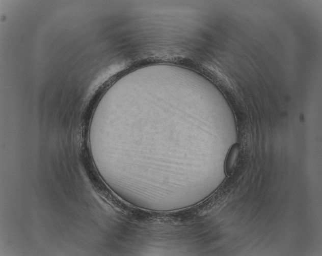 X0000087390736200705181307