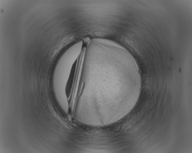 X0000087390738200705181307