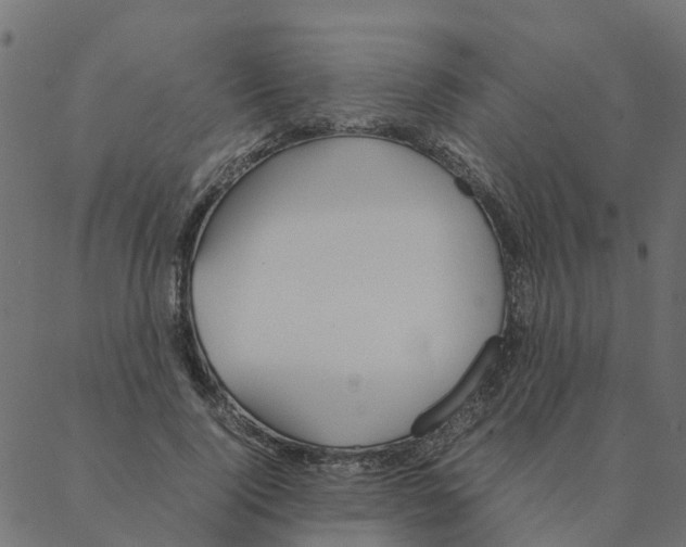 X0000087390740200705181307