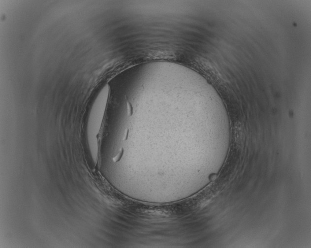 X0000087390741200705181307