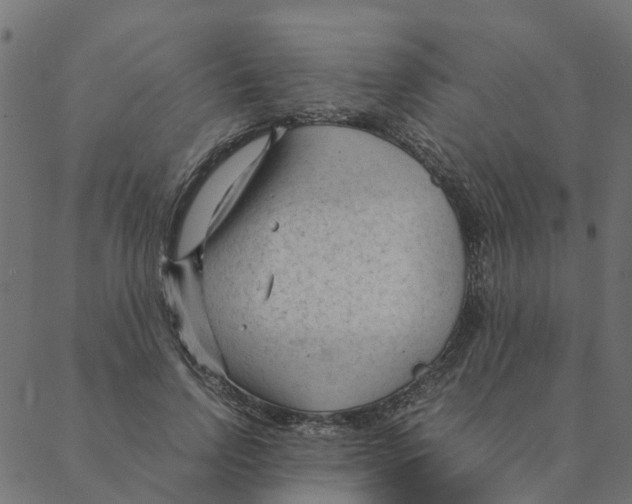 X0000087390742200705181307