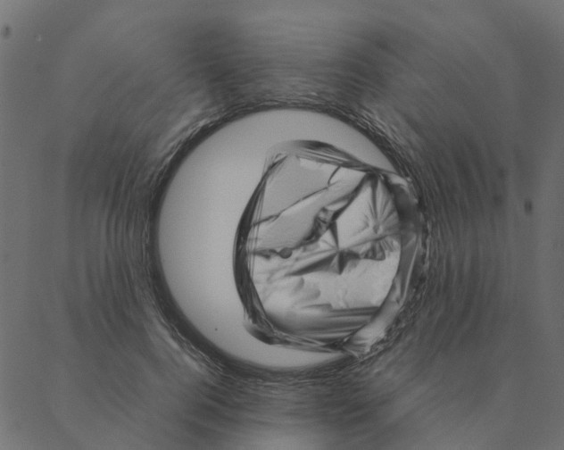 X0000087390744200705181307