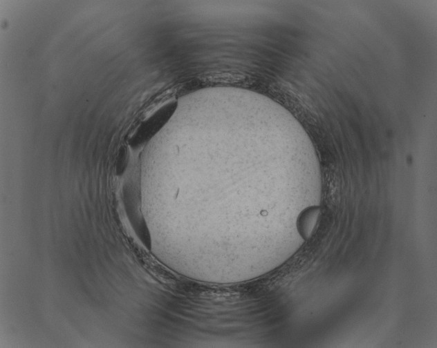 X0000087390745200705181307