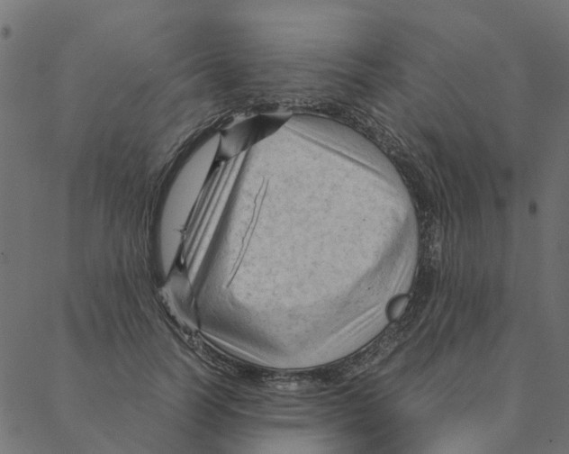 X0000087390746200705181307