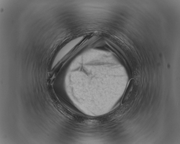 X0000087390748200705181307