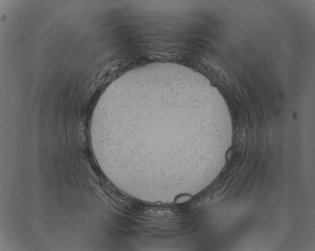 X0000087390749200705181307