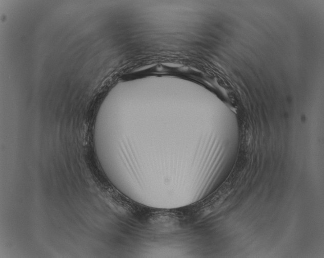 X0000087390750200705181307