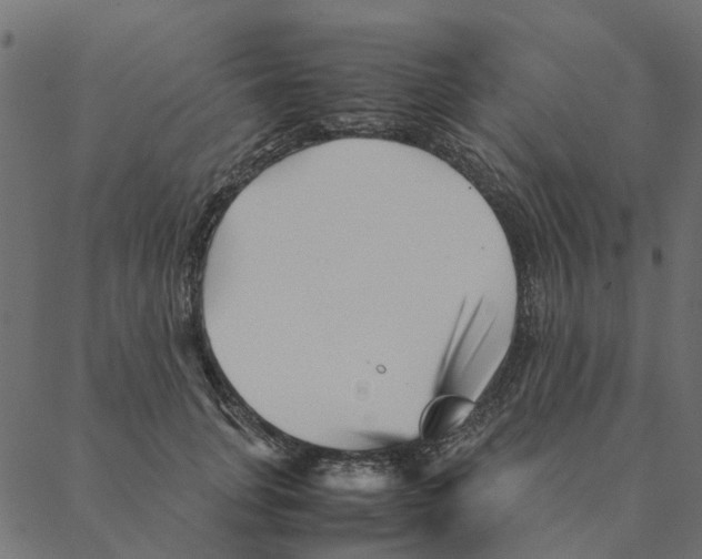 X0000087390751200705181307