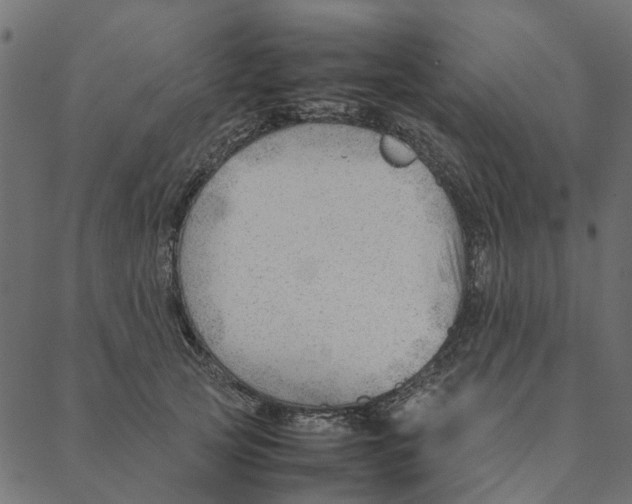 X0000087390753200705181307