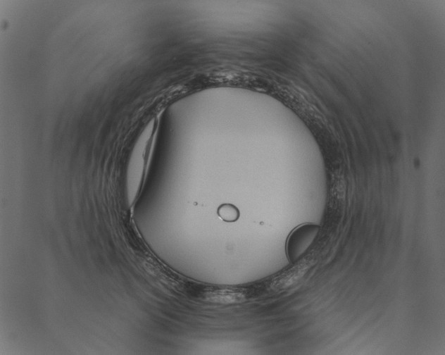 X0000087390754200705181307