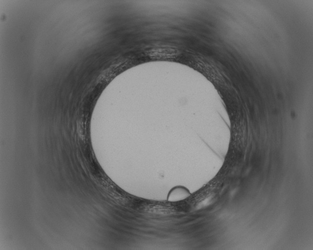 X0000087390755200705181307