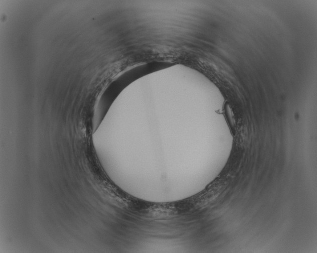 X0000087390756200705181307