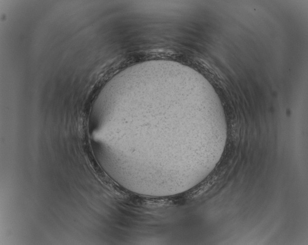 X0000087390757200705181307