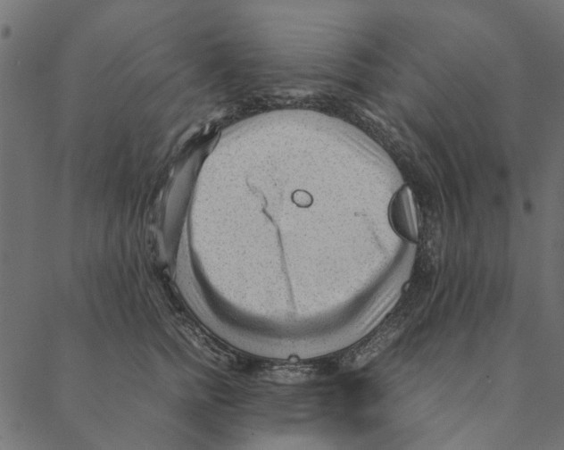 X0000087390758200705181307