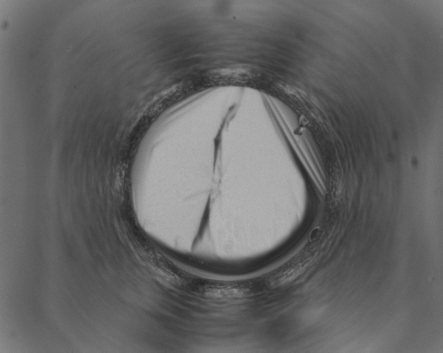 X0000087390759200705181307